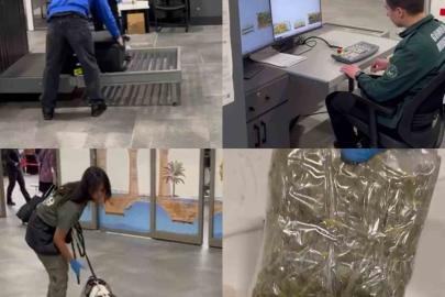 Uçakla gelen yolcunun valizindeki mısır gevreği kutularından uyuşturucu çıktı