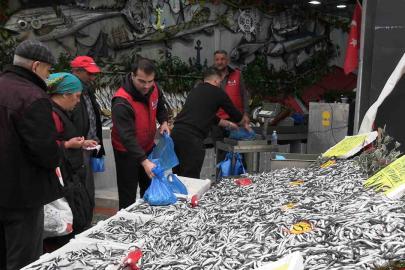 Hamsinin kilosu 50 liraya düştü, tezgahlar şenlendi