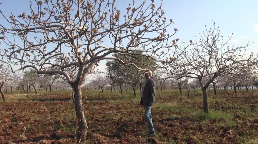 kar yağışları çiftçinin yüzünü güldürdü