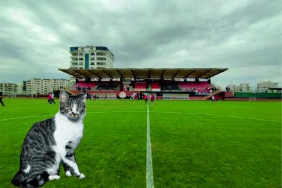 Karaköprü, nazara karşı 'patili kalkan' buldu