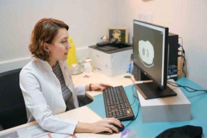 Kuş besleyenlere kritik uyarı: Akciğerde geri dönüşümsüz hasar riski