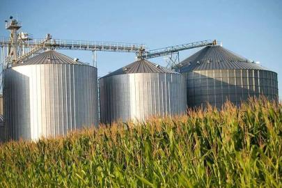 Mısır silosuna düşen işçi feci şekilde can verdi