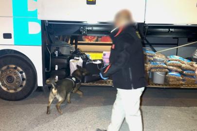 Narkotik köpeği "Hector" zehir tacirlerine geçit vermedi
