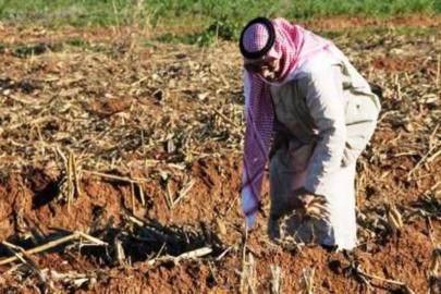 Şanlıurfa çiftçisine güzel haber