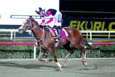 Jandarma Koşusu'nda zafer Kubat Kasırgası'nın