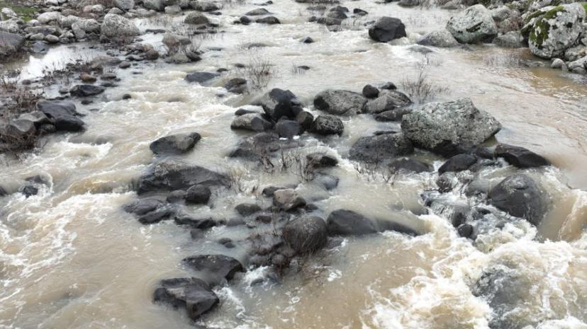 Şanlıurfa’da kuraklık yerini berekete bıraktı