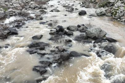 Şanlıurfa’da kuraklık yerini berekete bıraktı