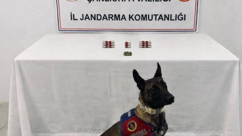 Şanlıurfa’da uyuşturucu operasyonları