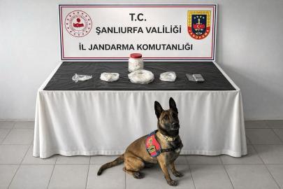 Şanlıurfa’da uyuşturucu operasyonu: 1 gözaltı