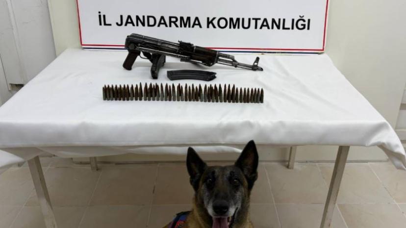 Suruç’ta silah operasyonu