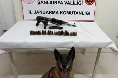 Suruç’ta silah operasyonu