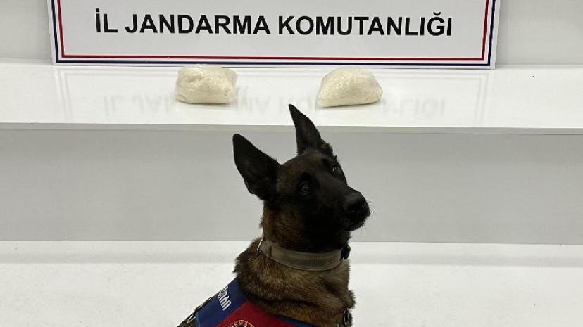 Viranşehir’de operasyon: 2 gözaltı