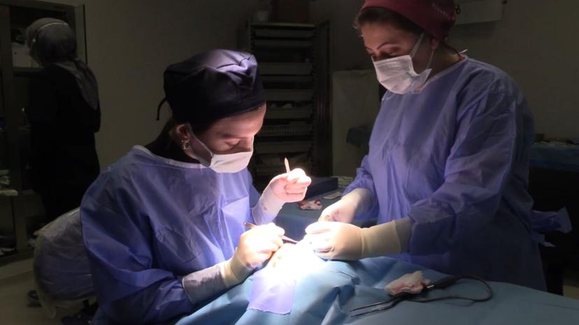 Göz Kapağı Düşüklüğü (Pitoz) nedir, nasıl tedavi edilir?