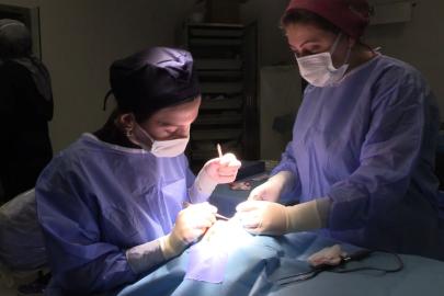 Göz Kapağı Düşüklüğü (Pitoz) nedir, nasıl tedavi edilir?