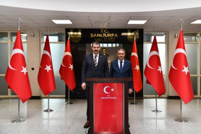 Halef-Selef Valiler Şanlıurfa'da buluştu