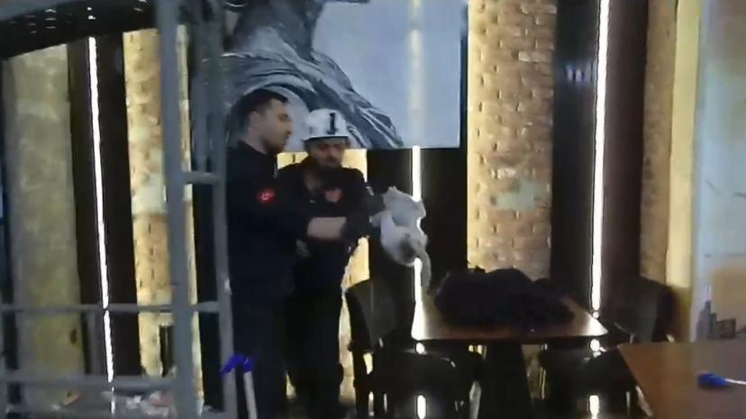 Havalandırma boşluğunda mahsur kalan kedi kurtarıldı