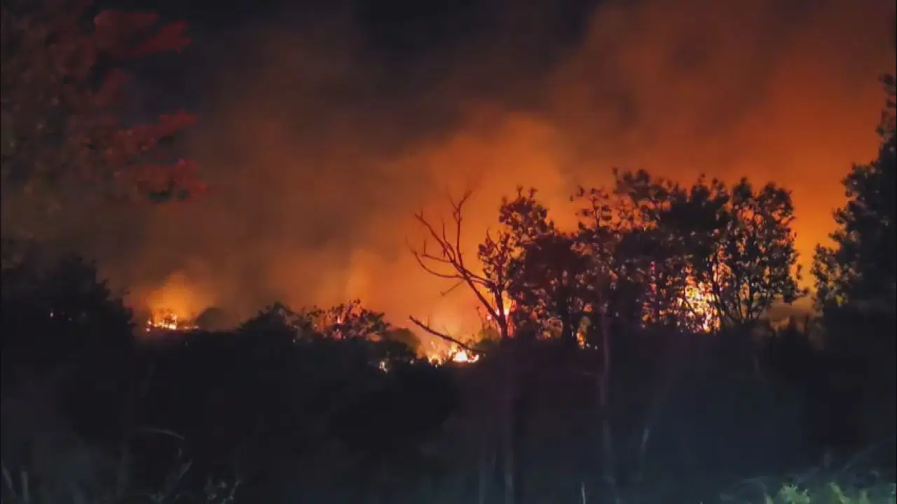 Beykoz’da Korkutan Orman Yangını! Rüzgar Alevleri Yeniden Canlandırdı